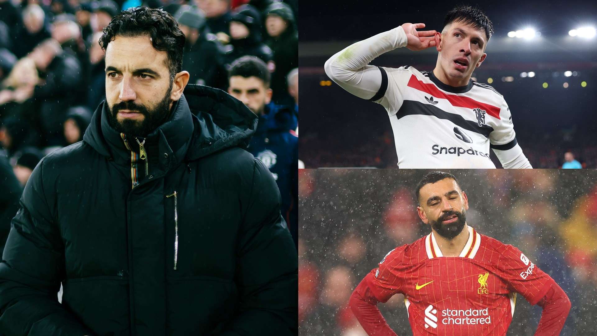 而陈雨菲的 而陈雨菲的