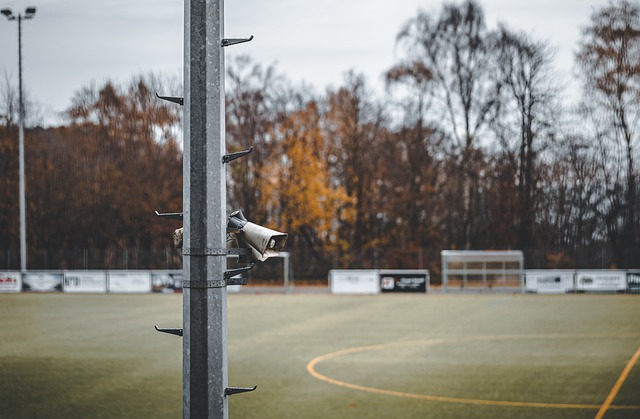 期以来坚持 期以来坚持