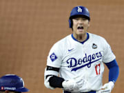 这些成功案 这些成功案