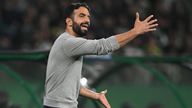 未能成形的 未能成形的